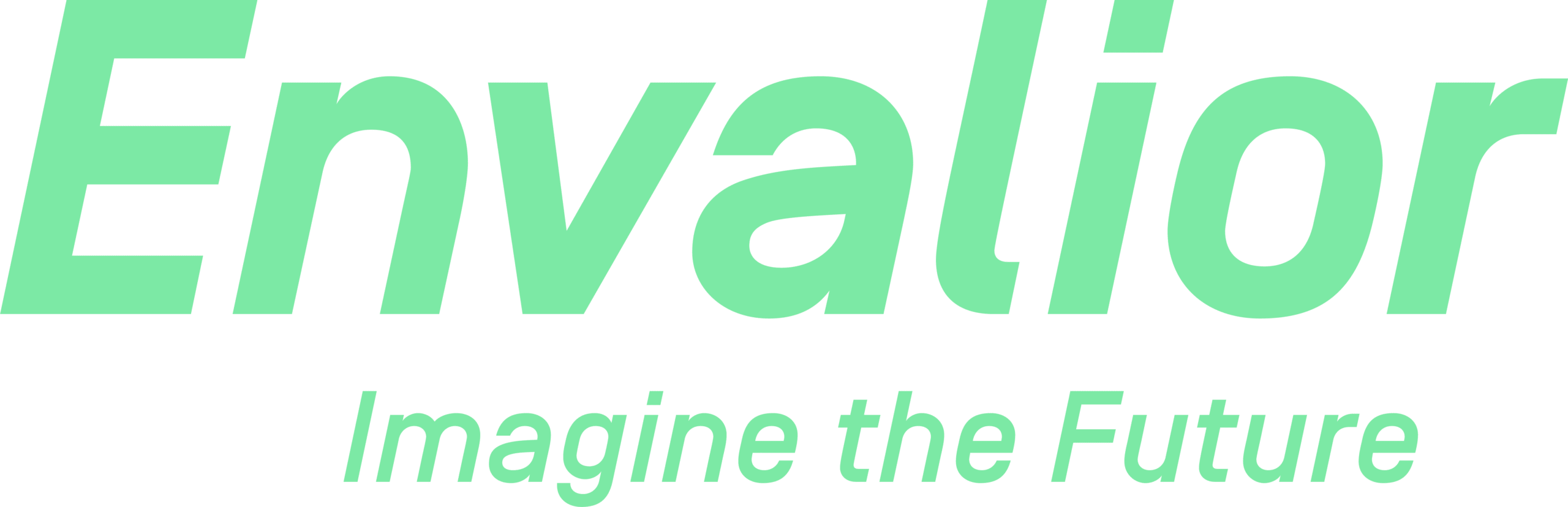 Logo van klant (Envalior).