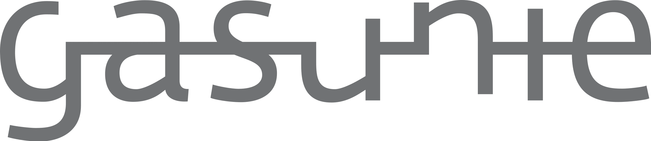 Logo van klant (Gasunie).